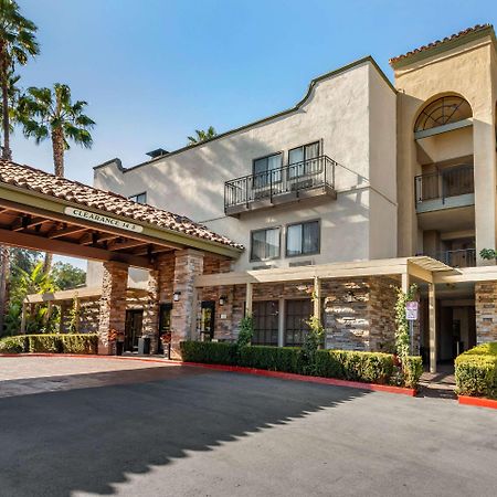 Comfort Inn & Suites Orange County John Wayne Airport Santa Ana Buitenkant foto